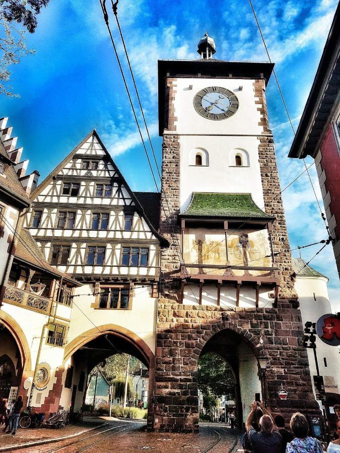 Historical Luxury Homes - Stadtvilla Mit Jacuzzi Und Garten Freiburg im Breisgau Ngoại thất bức ảnh